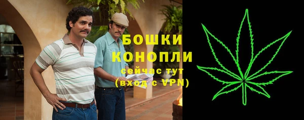 шишки Армянск