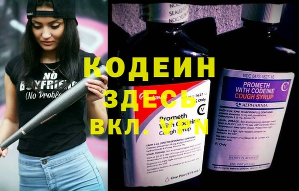 шишки Армянск