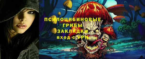 шишки Армянск